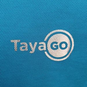 Vinyl Logo