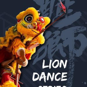 Custom Made Sublimation Lion Dance